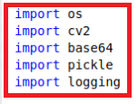Import Section Snipped