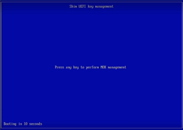 MOK Managment
